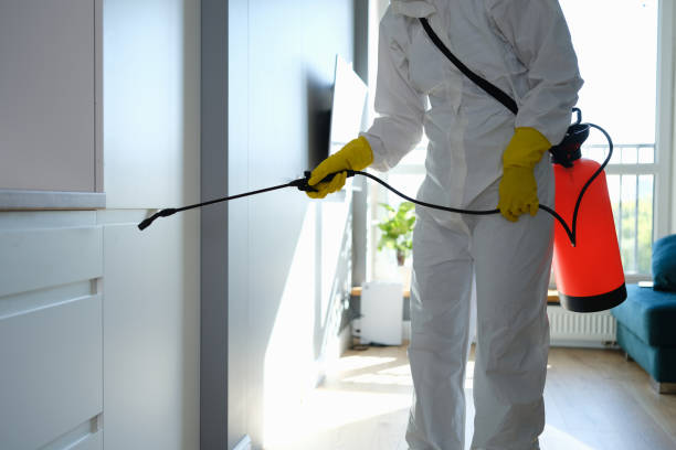 Trusted Clinton, WA Mold Removal Experts