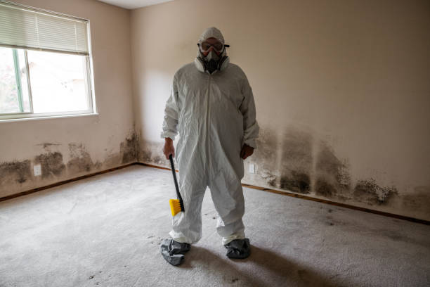 Biohazard Mold Removal in Clinton, WA